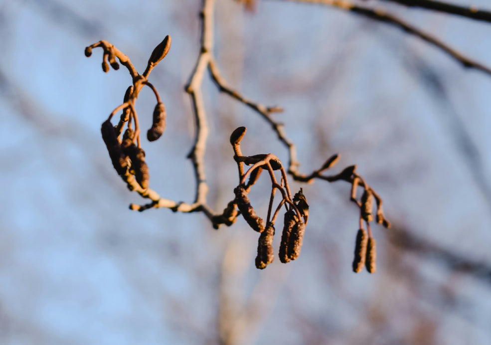 Practical Beauty with a Purpose. Practical Beauty with a Purpose.