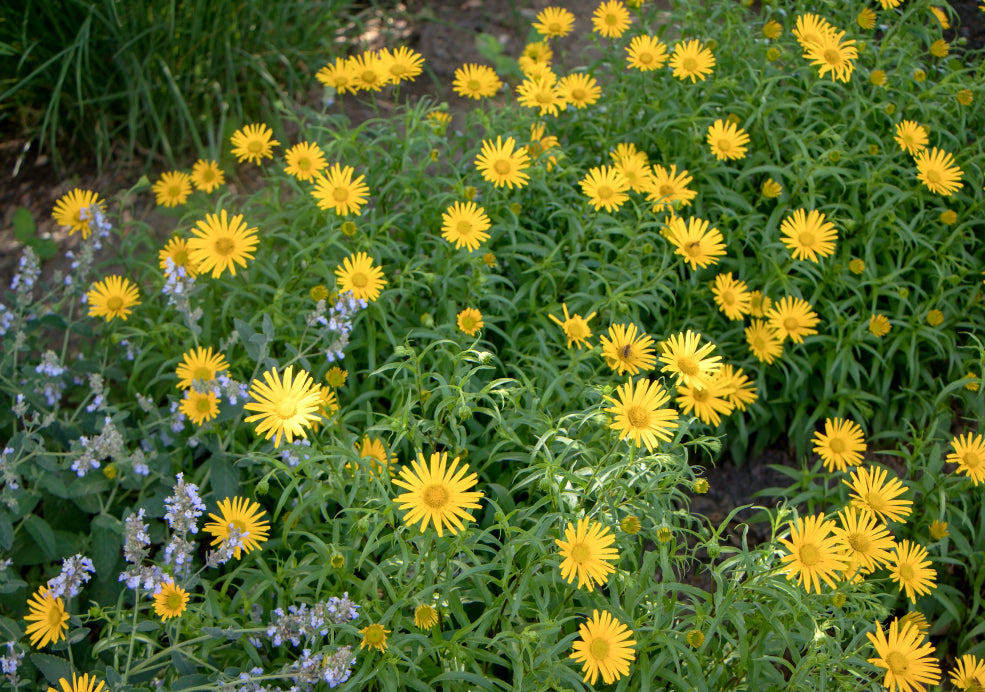 Tough and Easy to Care For. Tough and Easy to Care For.