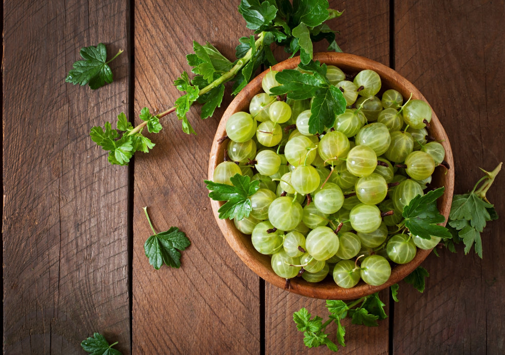 A Bounty of Tart and Sweet Flavours. A Bounty of Tart and Sweet Flavours.