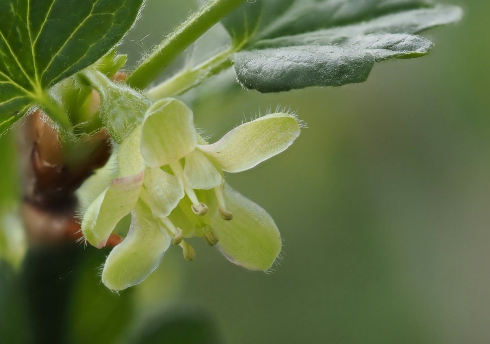 A Natural Retreat and Seasonal Delight. A Natural Retreat and Seasonal Delight.