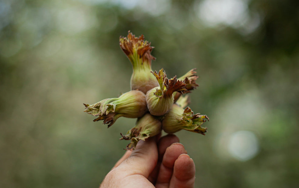 A Harvest to Satisfy Both Gardeners and Nature. A Harvest to Satisfy Both Gardeners and Nature.