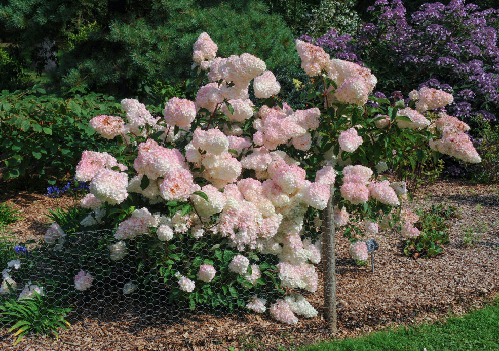 Seasonal Beauty and Wildlife Appeal. Seasonal Beauty and Wildlife Appeal.