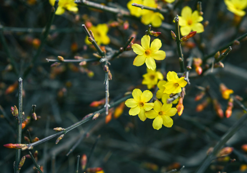 Flexible and Low Maintenance. Flexible and Low Maintenance.