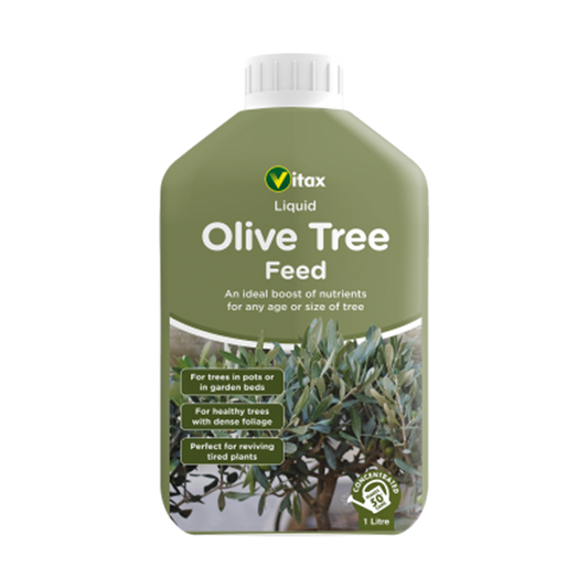 Olive Tree Liquid Feed - 1 Litre Olive Tree Liquid Feed - 1 Litre