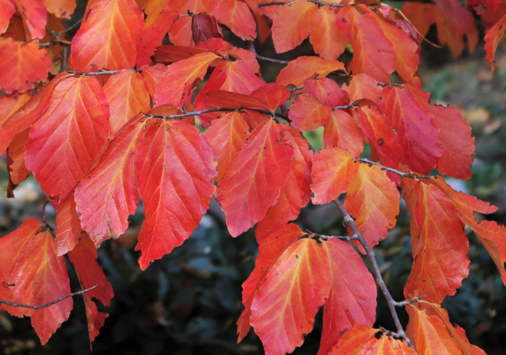 Adaptable and Low Fuss. Adaptable and Low Fuss.