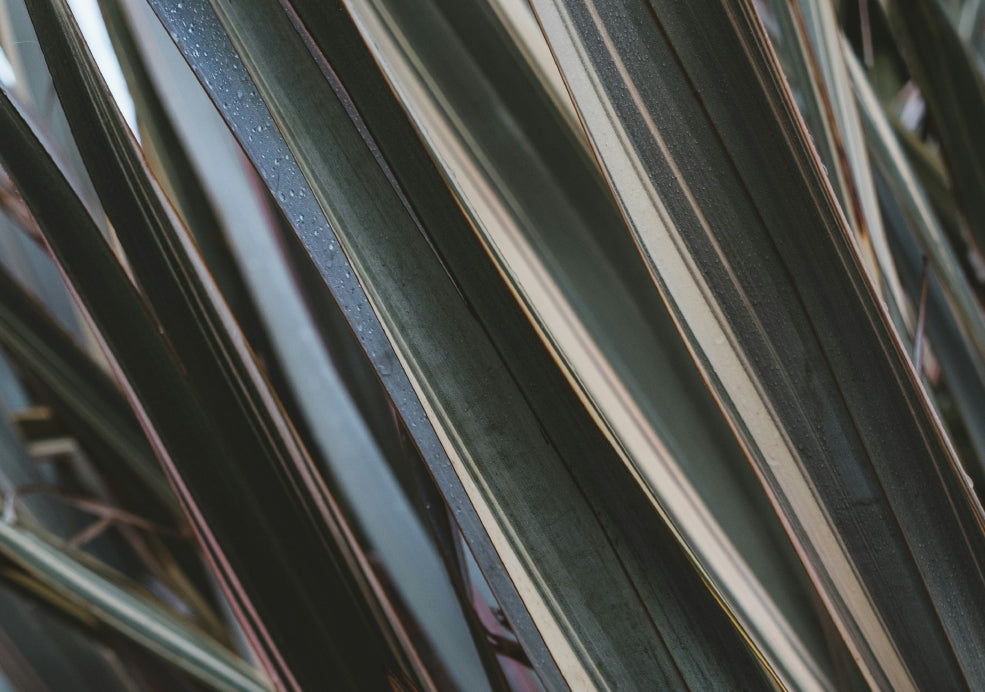 Robust, Low Effort, and Full of Impact. Robust, Low Effort, and Full of Impact.