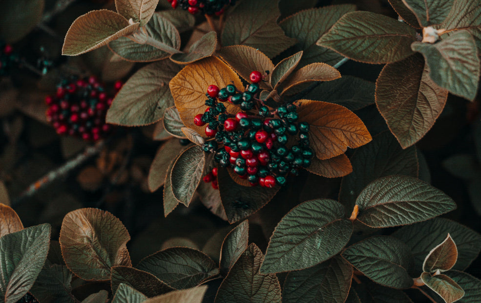 Tough, Trustworthy, and Simple to Care For. Tough, Trustworthy, and Simple to Care For.