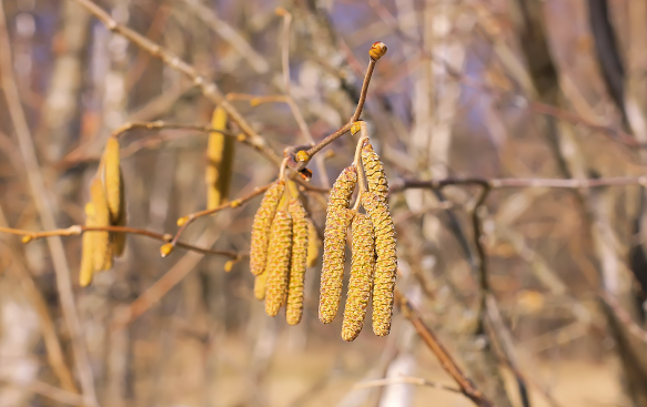 A Friend to Wildlife Year-Round. A Friend to Wildlife Year-Round.