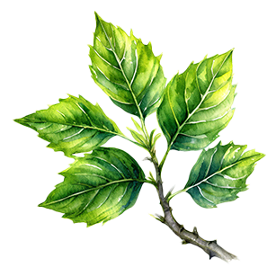 Special Features: Disease Resistant Disease-resistant flowering plants for gardens and healthy landscapes