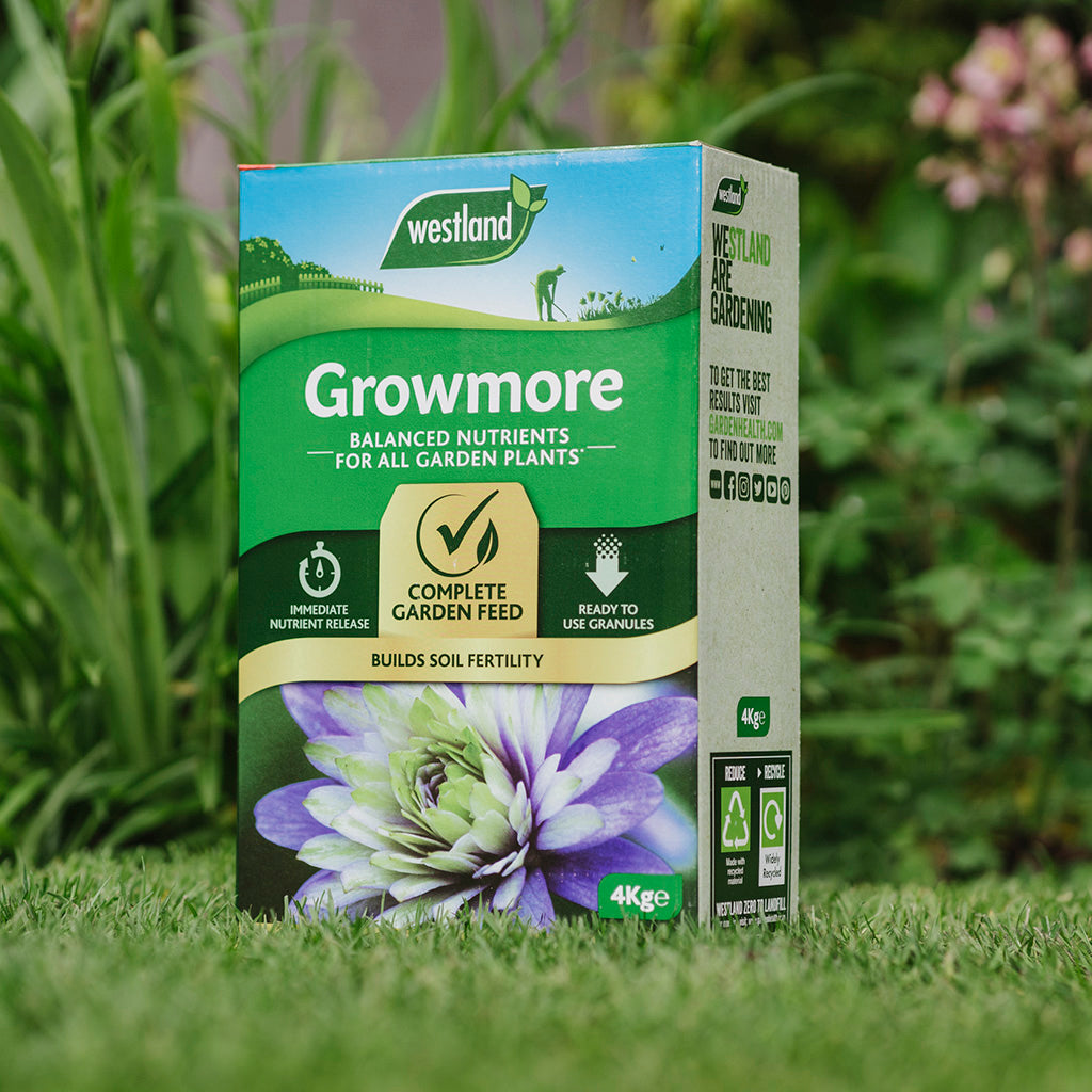 Box of Westland Growmore 4kg general-purpose feed on grass, featuring balanced plant nutrients to improve soil fertility, accompanied by images of flower and plant icons.