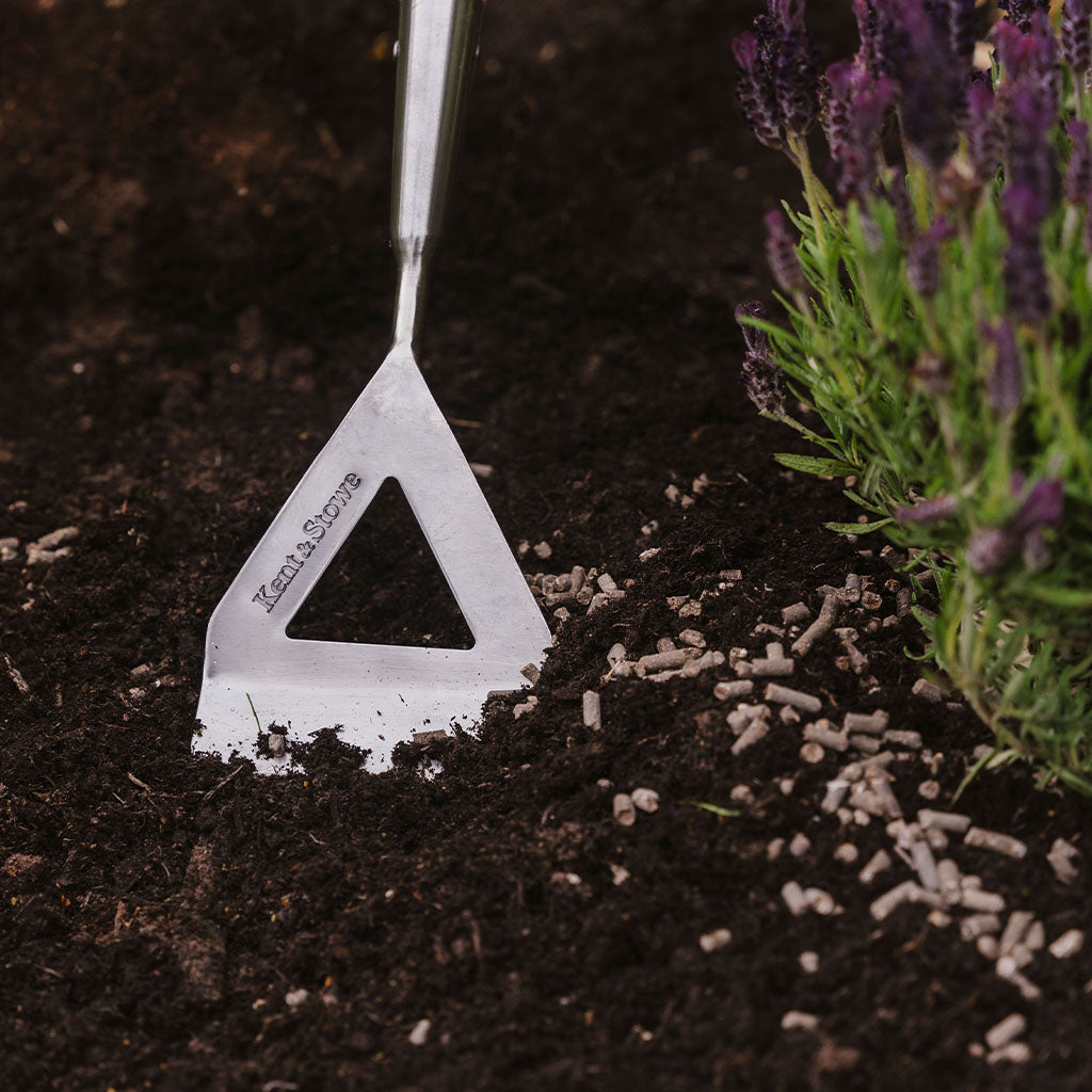 A triangular gardening tool is wedged in soil enriched with Westland Chicken Manure Pellets 2.25Kg + 25% Extra free, nestled beside blooming lavender plants.