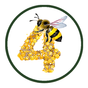 Pollination: Group 4