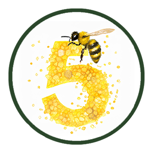 Pollination: Group 5