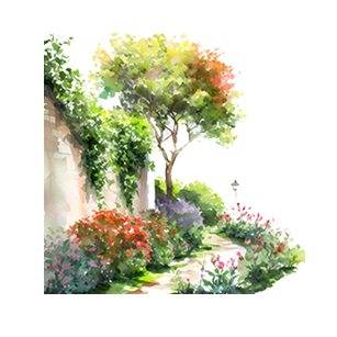 Uses: Wallside Border Wallside plants for climbing structures, adding greenery and height to your garden's design.