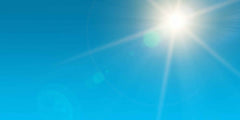 How to Conserve Water in Your Garden During Dry Weather