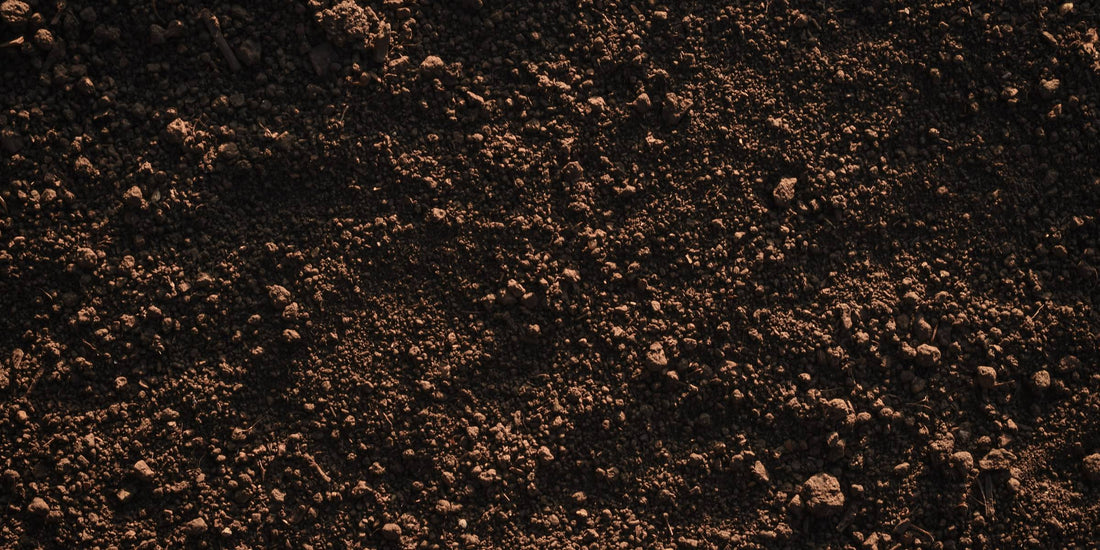 Soil in the winter