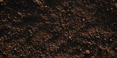 Winter Soil Care: How to Improve Your Garden Before Spring Arrives
