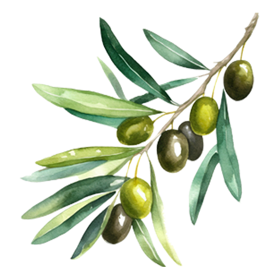 Olive Trees