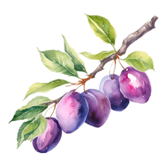 Plum Trees