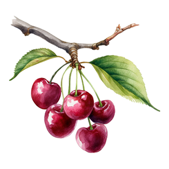 Cherry Trees