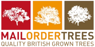 Logo for Mail Order Trees featuring silhouettes of trees on red, orange, and brown backgrounds. Text reads Mail Order Trees: Quality British Grown Trees.
