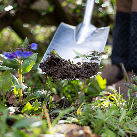 Border Spade - Stainless Steel