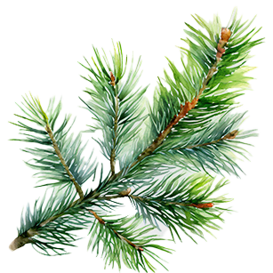 Cedrus
