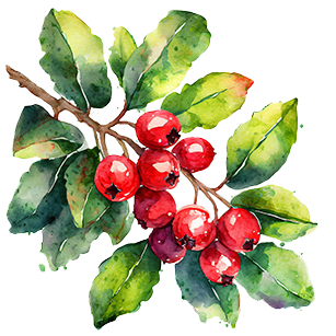 Cranberry Plants