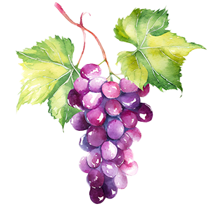 Grape Vines