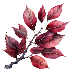 Parrotia