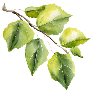 Poplus