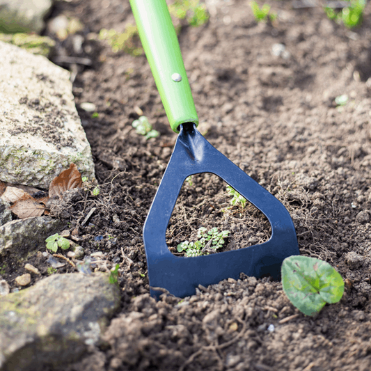Dutch Hoe - Carbon Steel