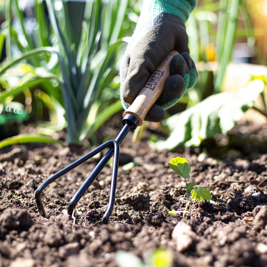 Hand 3 Prong Cultivator - Carbon Steel