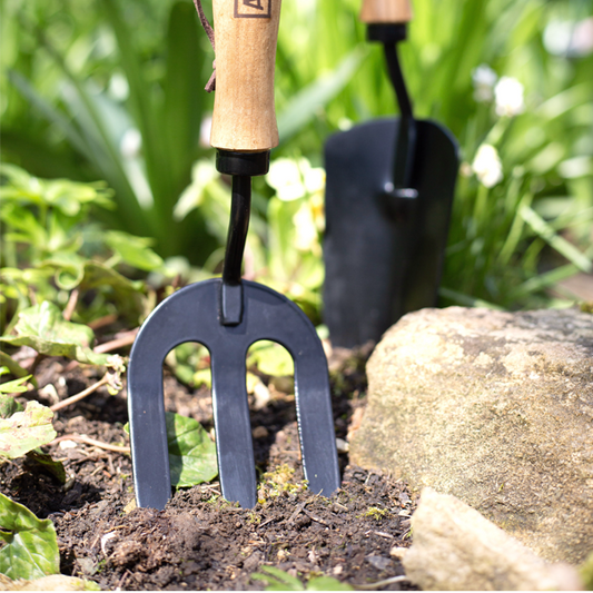 Hand Fork - Carbon Steel