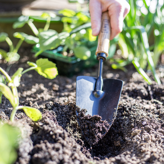Hand Trowel - Carbon Steel