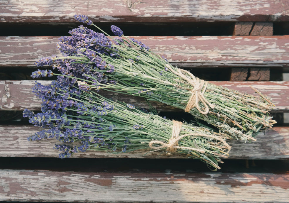 Perfect for Sunny Spots and Drought-Tolerant.