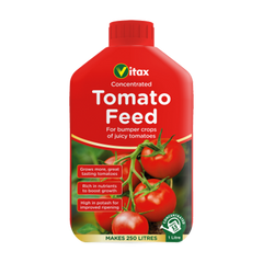 Tomato Feed - 1 Litre
