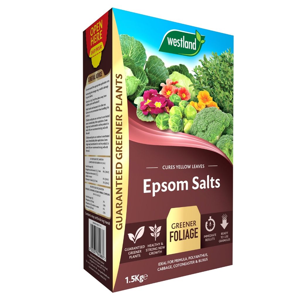 A box of Westland Epsom Salts 1.5Kg showcases vibrant green foliage and flowers on its packaging. It contains magnesium, which encourages healthy plant growth.