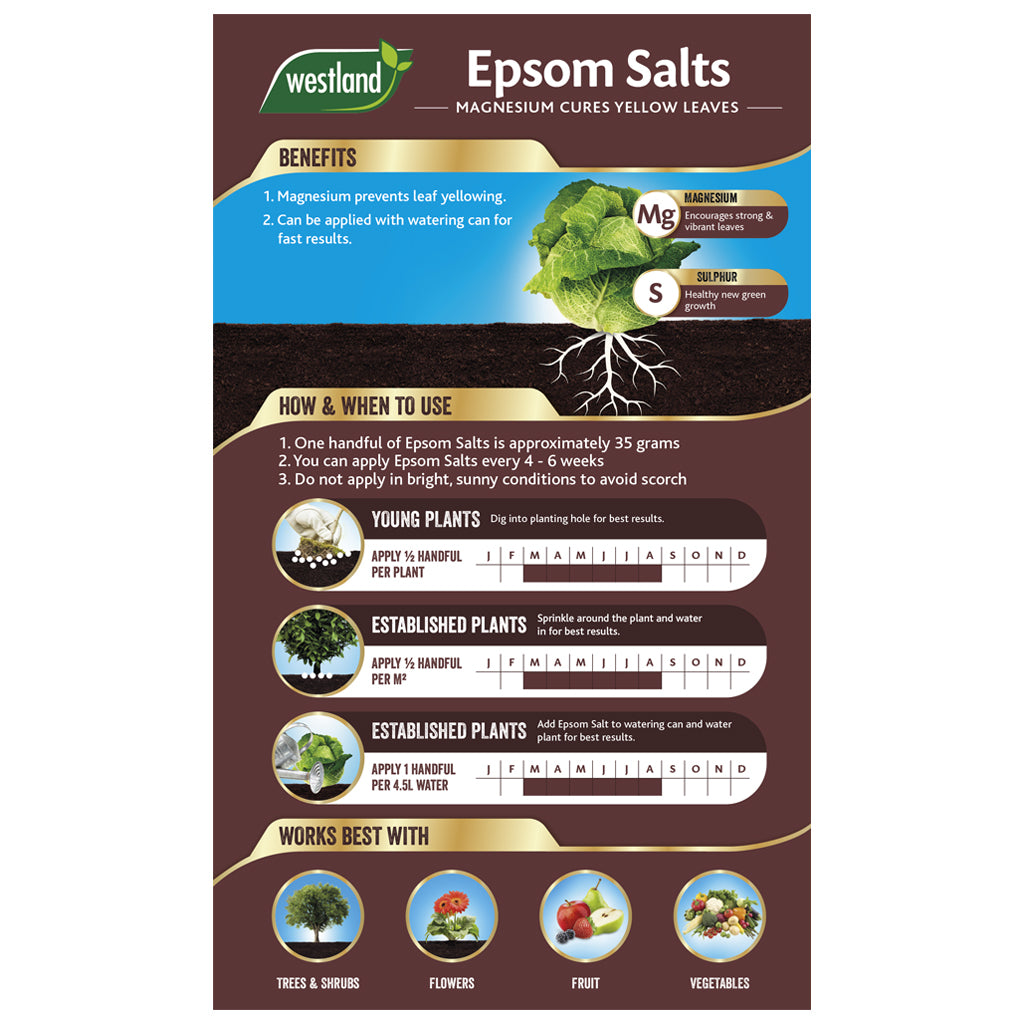 Explore the benefits of Westland Epsom Salts 1.5Kg through this infographic, which emphasizes its magnesium-rich composition promoting healthy plant growth. Learn various application techniques for both young and mature plants, including optimal use with trees, shrubs, flowers, fruits, and vegetables.