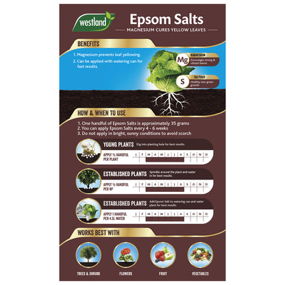 Explore the benefits of Westland Epsom Salts 1.5Kg through this infographic, which emphasizes its magnesium-rich composition promoting healthy plant growth. Learn various application techniques for both young and mature plants, including optimal use with trees, shrubs, flowers, fruits, and vegetables.