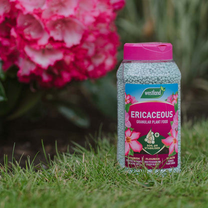 A jar of Ericaceous Specialist Plant Food Granules 900g placed on grass near pink flowers is perfect for acid-loving plants. This slow-release formula promotes vibrant blooms and lush foliage throughout the season.