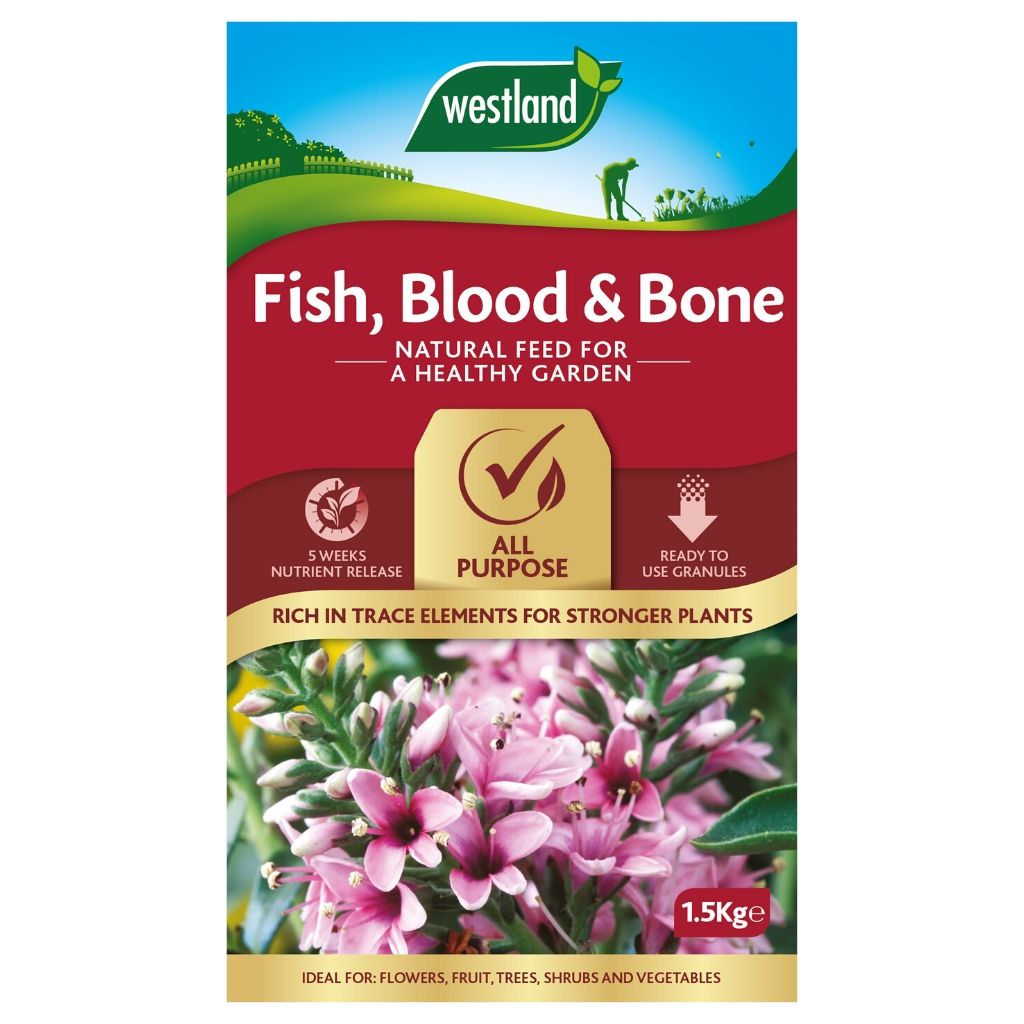 The Westland Fish, Blood & Bone 1.5Kg garden feed comes in a bag featuring an image of pink flowers. It is enriched with natural nutrients, including phosphorus, providing benefits like nutrient release and suitability for a variety of plants.