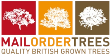 Logo of Mail Order Trees with three tree graphics on red, orange, and yellow backgrounds and the text QUALITY BRITISH GROWN TREES.