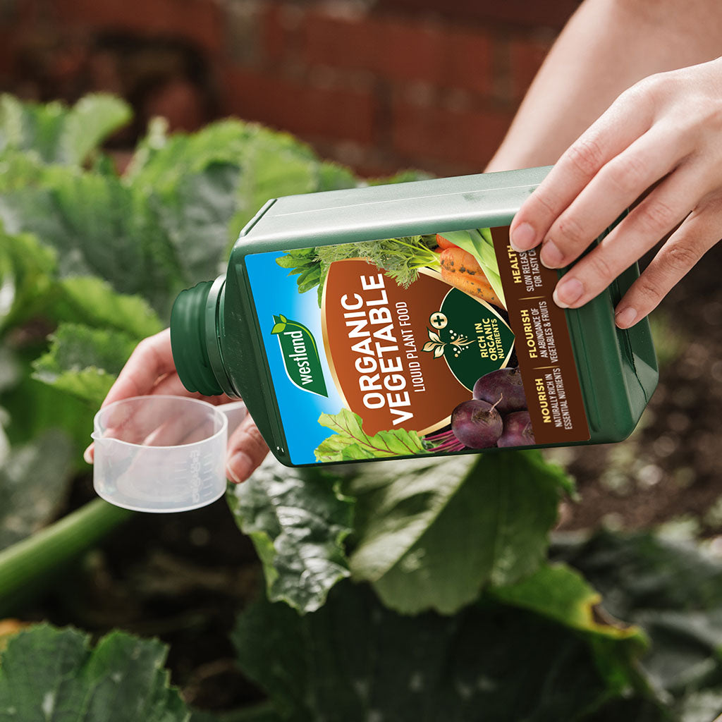 The individual meticulously pours Westland Organic Vegetable Liquid Plant Food 1L into a measuring cup, ensuring optimal nutrient availability for flourishing green leaves in the garden.