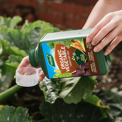 The individual meticulously pours Westland Organic Vegetable Liquid Plant Food 1L into a measuring cup, ensuring optimal nutrient availability for flourishing green leaves in the garden.