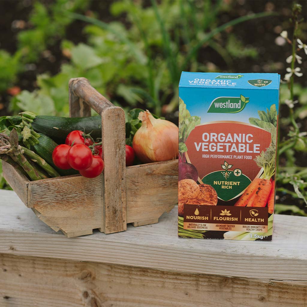 A wooden basket filled with tomatoes, zucchini, and onions is placed next to a box of Westland All Vegetable Feed 1.5Kg, which is rich in nutrients for vibrant growth.